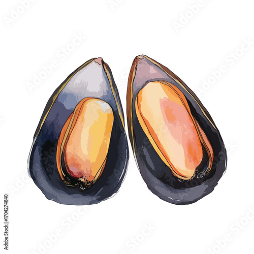 Vivid Watercolor Mussels Open Shells Reveal Golden Interiors