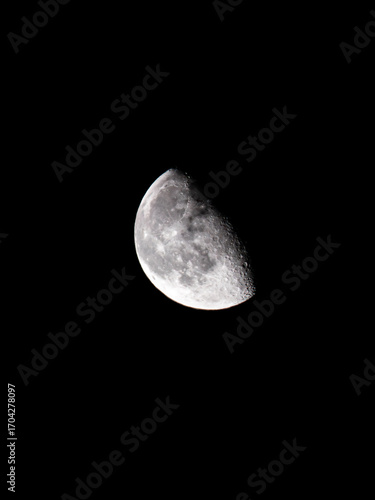 Half Moon in the black night sky
