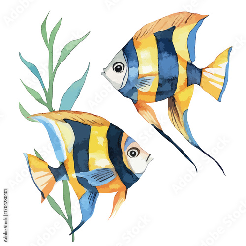 Watercolor depiction of two vibrant striped angelfish with aquatic plant life