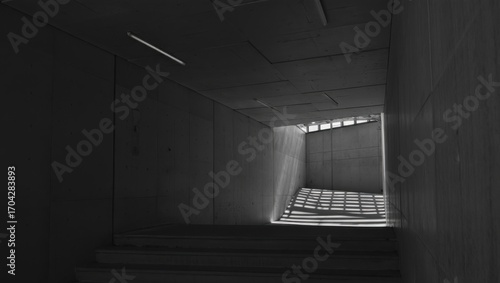 Exploring the Play of Light and Shadows in a Minimalist Concrete Staircase Leading to an Open Space