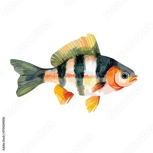 Watercolor Fish with Striking Black and Yellow Stripes and Orange Accents