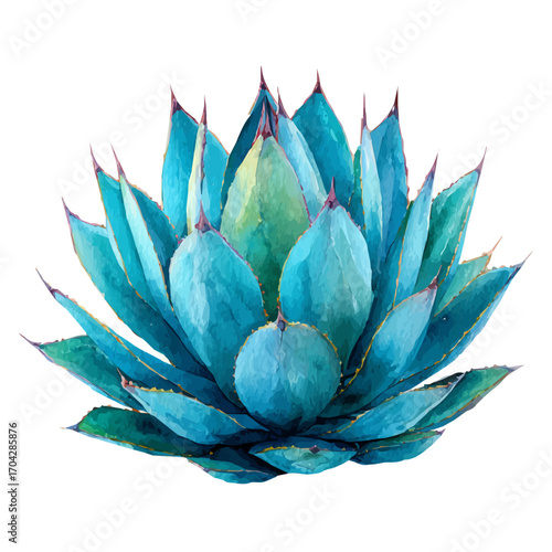 watercolor of Agave, vector, isolated on a white background.