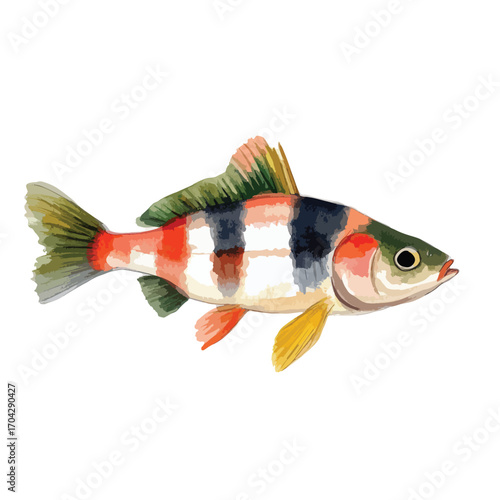 Watercolor Illustration of a Colorful Fish with Unique Striped Pattern and Fins