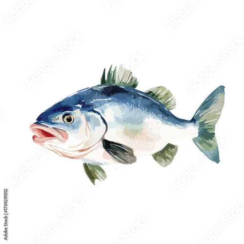Watercolor Illustration of a Detailed Fish with Open Mouth and Fins (2)