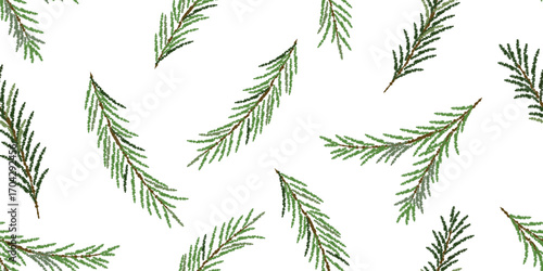 Seamless vector pattern of green pine and fir branches on white background for holiday cards, wrapping, invitations, festive designs, seasonal decorations, scrapbooking, packaging, Christmas wallpaper