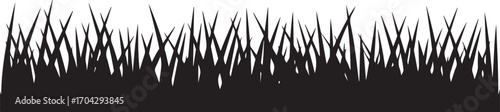 Grass Vector Illustration with Detailed Blades and Natural Texture for Landscape and Garden Designs