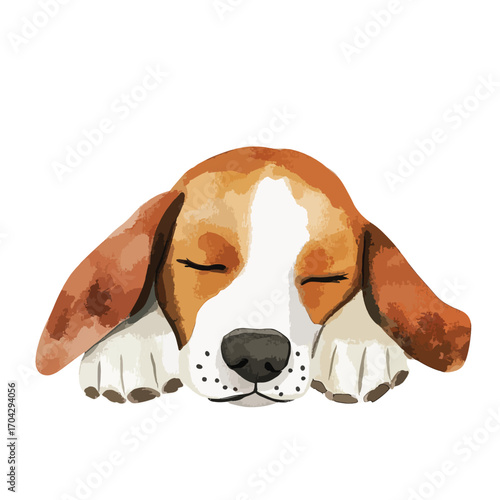 Watercolor Illustration of a Sleepy Beagle Puppy
