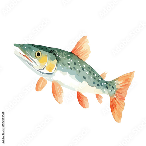 Watercolor Illustration of a Spotted Fish with Orange Fins