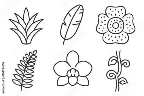 A variety of plant drawings, including a leaf, a flower, and a vine. The drawings are all in black and white, giving them a simple. Vector.