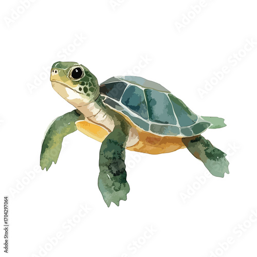 Watercolor Illustration of a Young Sea Turtle Swimming Gracefully Detailed and Vivid