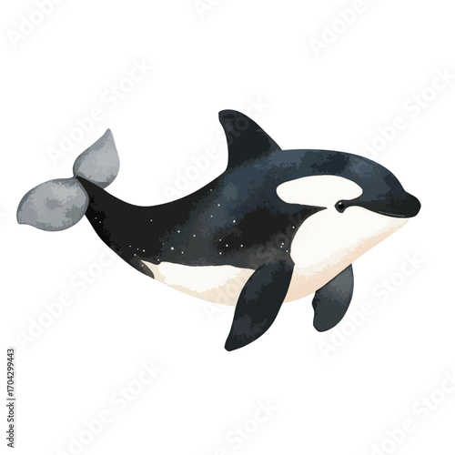 Watercolor Orca Whale Swimming Gracefully Detailed Fin Stellar Design