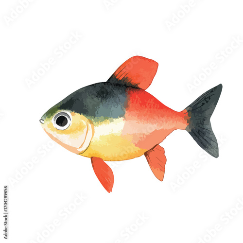 Watercolor Painted Serpae Tetra Fish with Red Fins and Black Dorsal Fin