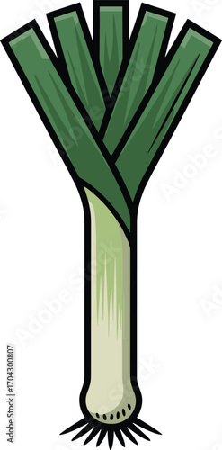 Illustration of a single fresh leek vegetable with roots