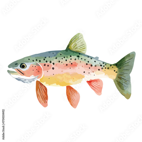 Watercolor Rainbow Trout Illustration with Detailed Fins and Speckled Body