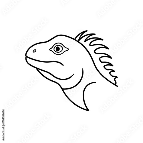 Iguana head outline drawing on transparent background