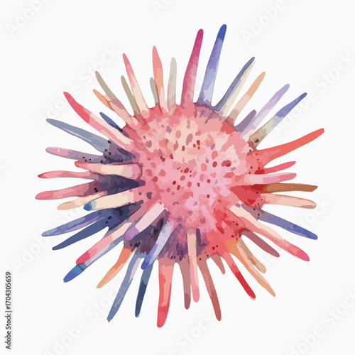 Watercolor Sea Urchin with Pink Center and Colorful Spines Illustration