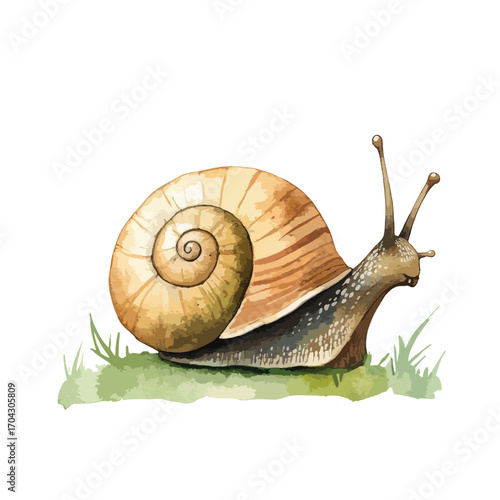 Watercolor Snail with Detailed Shell and Delicate Antennae on Greenery