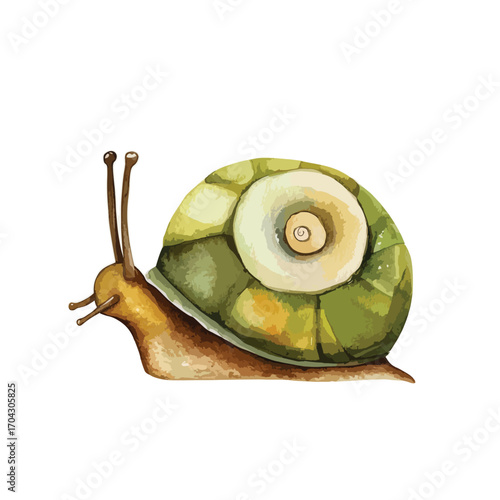 Watercolor Snail with Green and Yellow Shell Brown Body