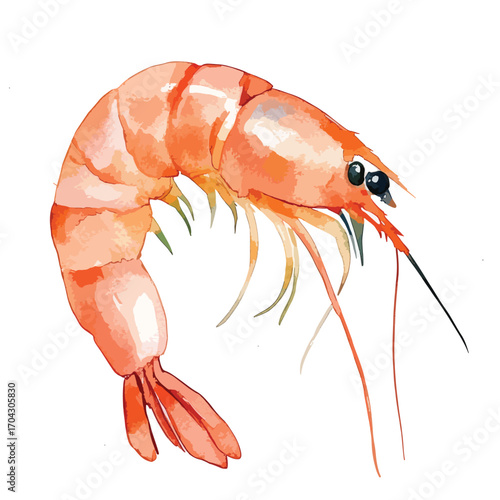Watercolor Shrimp Depicted with Detailed Carapace and Delicate Antennae