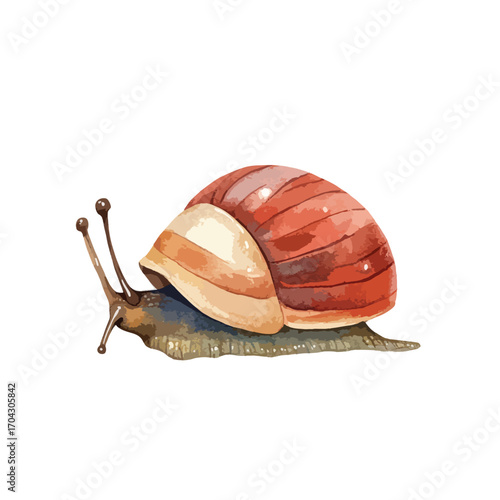 Watercolor Snail with ReddishBrown Shell and Cream Accents