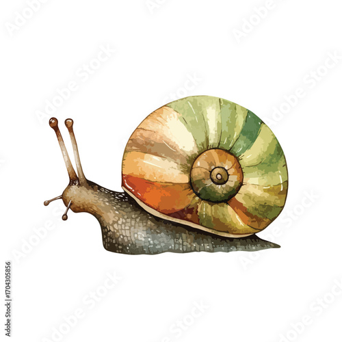 Watercolor Snail with Green and Orange Shell Antennae Extended Crawling Forward