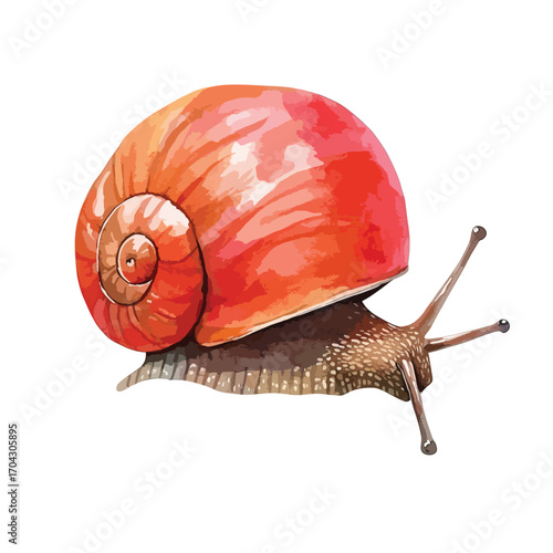 Watercolor Snail with Vivid Orange Shell and Detailed Body Side View