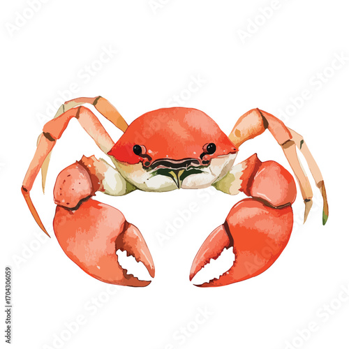 Watercolor Style Crab with Large Claws and Orange Shell Facing Forward