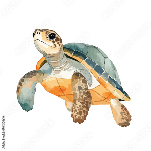 Watercolor Style Sea Turtle with Mottled Shell and Textured Flippers