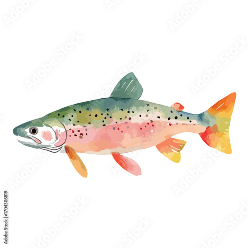 Watercolor Trout with Speckled Body and Vibrant Orange Tail Fin