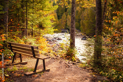 Scenic riverside bench in autumn landscape with vibrant foliage and flowing water near a forest
