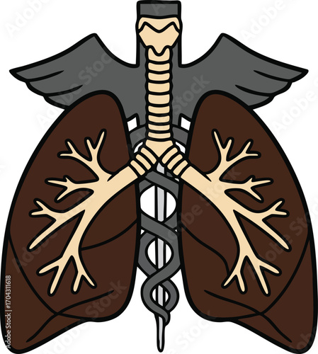 Human lungs anatomy with trachea and caduceus symbol medical illustration vector design 