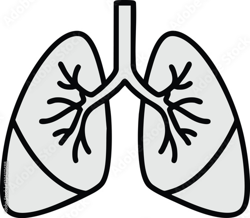 Human lungs anatomy icon vector illustration with clear bronchial tree structure