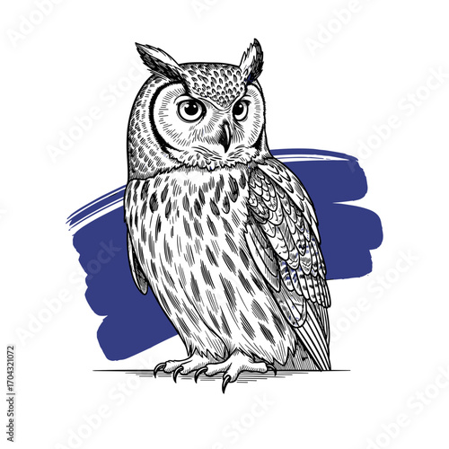 Black and white engraving sketch of owl on blue brush stroke, isolated on white background, vintage etching vector illustration for design, trendy wildlife and nature artwork