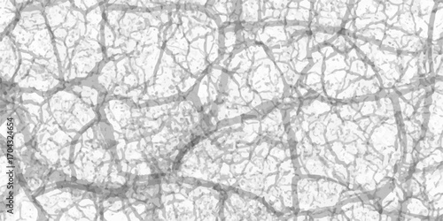 Rough winter branches against a textured grey wall create a grunge paper-like pattern. Black and white wall texture with straight stains. Dark and white fearful and scratched marble texture. old, arts