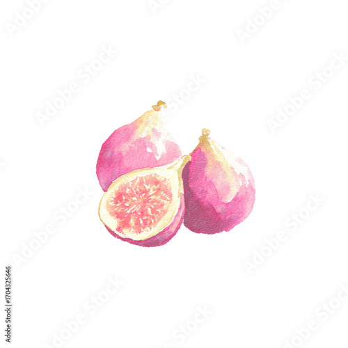 Watercolor pink figs - artistic fruit illustration with vivid colors, cut out