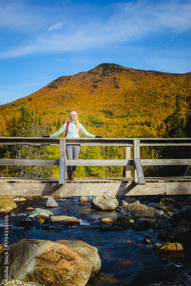 Obraz premium Woman enjoys a scenic autumn view on bridge over stream in the mountains