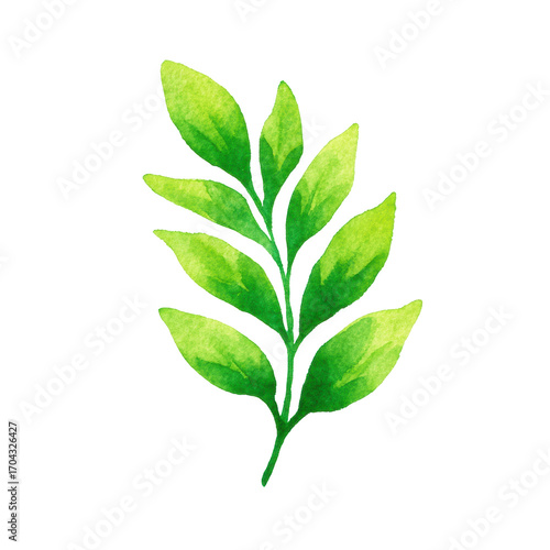 Vibrant watercolor green leaf illustration isolated on black background, cut out