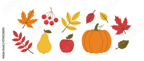 Autumnal seasonal elements of plants, vegetable and fruit with colorful leaves. Fall flat graphic design for seasonal greeting harvest festival. Vector illustration