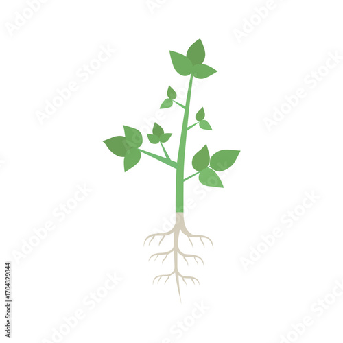 Green plant sprout with roots symbolizing growth and new beginnings