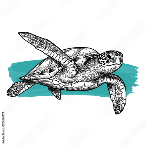 Black and white engraving sketch of sea turtle swimming on teal brush stroke, isolated on white background, vintage etching vector illustration for design