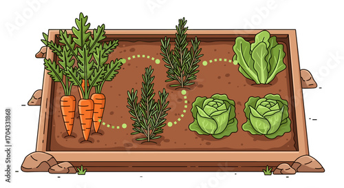 Vegetable garden with carrots, rosemary, lettuce