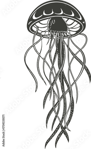 Jellyfish Vector illustration Silhouette