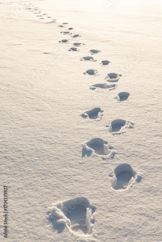 boot prints on fresh white snow, shoe prints or shoe marks in the  snow going forward or away. Snow is glittering and sparkling in the winter sun.