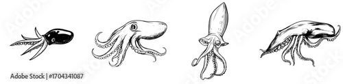 A modern calamari mollusk, the cartoon squid is an underwater animal and sea creature that is an invertebrate marine fauna inhabitant with pink skin and tentacles, living an isolated water life