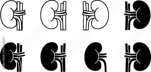 Kidney icon set, line and black glyph style 
