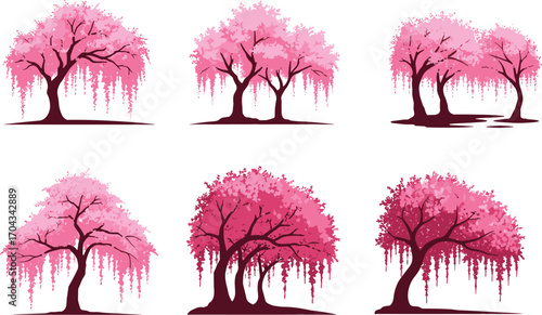 Elegant pink weeping cherry blossom trees, spring flowering, vibrant nature scene, tranquil outdoor landscape, seasonal garden beauty, delicate floral branches.