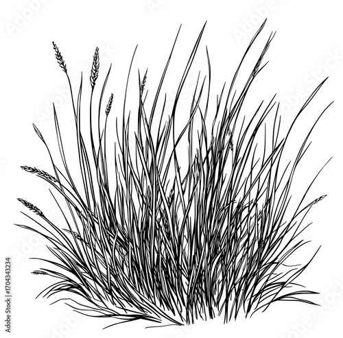 Aquariums and ocean environments, including coral reefs, are home to diverse undersea plants like Cartoon Gutweed seaweed and various types of sea algae, along with laminaria algae and other tropical