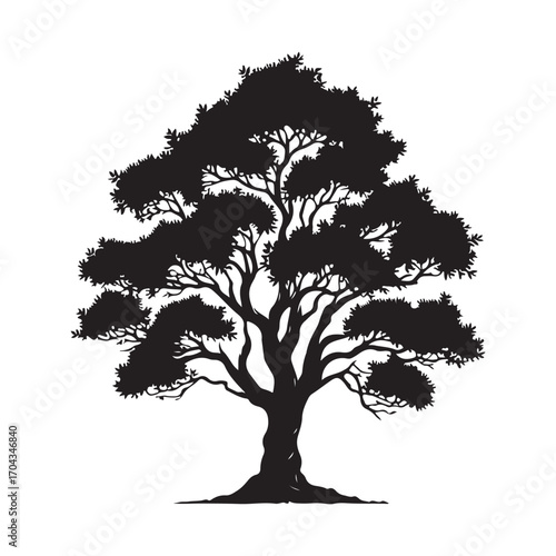 Sandalwood Tree Silhouette