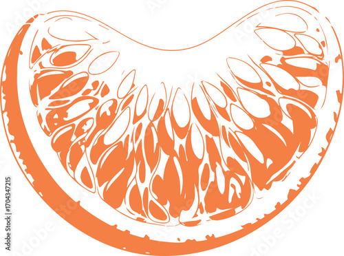 Close up illustration of a juicy segment of a vibrant orange citrus fruit with visible pulp and segments