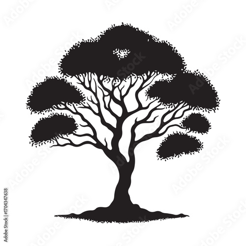 Sandalwood Tree Silhouette